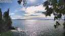 ./images/koeye/fitz-hugh/20250812/fitz-hugh20250812_165011M.jpg