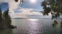 ./images/koeye/fitz-hugh/20250812/fitz-hugh20250812_171510M.jpg