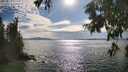 ./images/koeye/fitz-hugh/20250812/fitz-hugh20250812_172010M.jpg