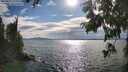 ./images/koeye/fitz-hugh/20250812/fitz-hugh20250812_173012M.jpg