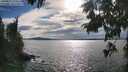 ./images/koeye/fitz-hugh/20250812/fitz-hugh20250812_173511M.jpg