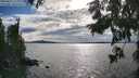 ./images/koeye/fitz-hugh/20250812/fitz-hugh20250812_174011M.jpg