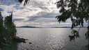 ./images/koeye/fitz-hugh/20250812/fitz-hugh20250812_174511M.jpg