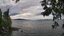 ./images/koeye/fitz-hugh/20250812/fitz-hugh20250812_175510M.jpg