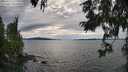 ./images/koeye/fitz-hugh/20250812/fitz-hugh20250812_180014M.jpg