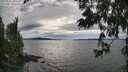 ./images/koeye/fitz-hugh/20250812/fitz-hugh20250812_180510M.jpg