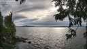 ./images/koeye/fitz-hugh/20250812/fitz-hugh20250812_181010M.jpg