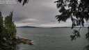 ./images/koeye/fitz-hugh/20250812/fitz-hugh20250812_183510M.jpg
