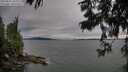 ./images/koeye/fitz-hugh/20250812/fitz-hugh20250812_185510M.jpg