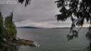 ./images/koeye/fitz-hugh/20250812/fitz-hugh20250812_190010M.jpg