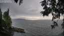 ./images/koeye/fitz-hugh/20250812/fitz-hugh20250812_192509M.jpg