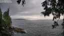 ./images/koeye/fitz-hugh/20250812/fitz-hugh20250812_193010M.jpg