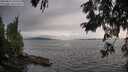 ./images/koeye/fitz-hugh/20250812/fitz-hugh20250812_193508M.jpg