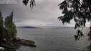 ./images/koeye/fitz-hugh/20250812/fitz-hugh20250812_194010M.jpg