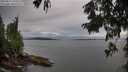 ./images/koeye/fitz-hugh/20250812/fitz-hugh20250812_194509M.jpg