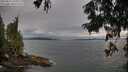 ./images/koeye/fitz-hugh/20250812/fitz-hugh20250812_195009M.jpg