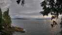 ./images/koeye/fitz-hugh/20250812/fitz-hugh20250812_195509M.jpg