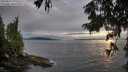 ./images/koeye/fitz-hugh/20250812/fitz-hugh20250812_200010M.jpg
