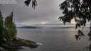 ./images/koeye/fitz-hugh/20250812/fitz-hugh20250812_200508M.jpg