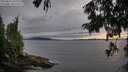 ./images/koeye/fitz-hugh/20250812/fitz-hugh20250812_202508M.jpg