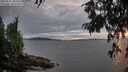 ./images/koeye/fitz-hugh/20250812/fitz-hugh20250812_203507M.jpg