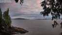 ./images/koeye/fitz-hugh/20250812/fitz-hugh20250812_204508M.jpg