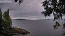 ./images/koeye/fitz-hugh/20250812/fitz-hugh20250812_210507M.jpg