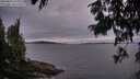 ./images/koeye/fitz-hugh/20250812/fitz-hugh20250812_211008M.jpg