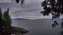 ./images/koeye/fitz-hugh/20250812/fitz-hugh20250812_212009M.jpg