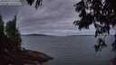 ./images/koeye/fitz-hugh/20250812/fitz-hugh20250812_212509M.jpg