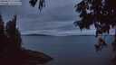 ./images/koeye/fitz-hugh/20250812/fitz-hugh20250812_213508M.jpg
