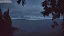 ./images/koeye/fitz-hugh/20250813/fitz-hugh20250813_053008M.jpg