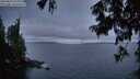 ./images/koeye/fitz-hugh/20250813/fitz-hugh20250813_055010M.jpg