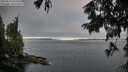 ./images/koeye/fitz-hugh/20250813/fitz-hugh20250813_064510M.jpg