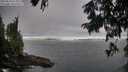 ./images/koeye/fitz-hugh/20250813/fitz-hugh20250813_075011M.jpg