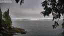 ./images/koeye/fitz-hugh/20250813/fitz-hugh20250813_080011M.jpg
