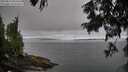 ./images/koeye/fitz-hugh/20250813/fitz-hugh20250813_083510M.jpg