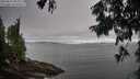 ./images/koeye/fitz-hugh/20250813/fitz-hugh20250813_085011M.jpg