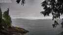 ./images/koeye/fitz-hugh/20250813/fitz-hugh20250813_090011M.jpg