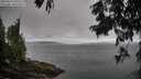 ./images/koeye/fitz-hugh/20250813/fitz-hugh20250813_090507M.jpg
