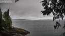 ./images/koeye/fitz-hugh/20250813/fitz-hugh20250813_091009M.jpg