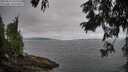 ./images/koeye/fitz-hugh/20250813/fitz-hugh20250813_092510M.jpg