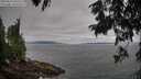 ./images/koeye/fitz-hugh/20250813/fitz-hugh20250813_093510M.jpg