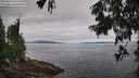 ./images/koeye/fitz-hugh/20250813/fitz-hugh20250813_095509M.jpg