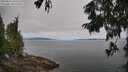 ./images/koeye/fitz-hugh/20250813/fitz-hugh20250813_102509M.jpg