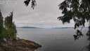 ./images/koeye/fitz-hugh/20250813/fitz-hugh20250813_103510M.jpg