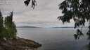 ./images/koeye/fitz-hugh/20250813/fitz-hugh20250813_104511M.jpg