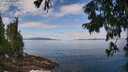 ./images/koeye/fitz-hugh/20250813/fitz-hugh20250813_114010M.jpg