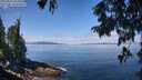 ./images/koeye/fitz-hugh/20250813/fitz-hugh20250813_115010M.jpg