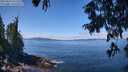 ./images/koeye/fitz-hugh/20250813/fitz-hugh20250813_121511M.jpg